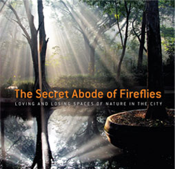 the-secret-abode-of-fireflies